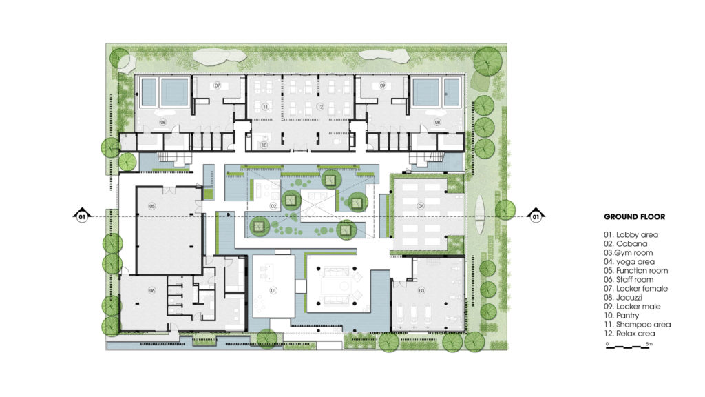 The Plant and the Pen: Biophilia in Architectural Drawings