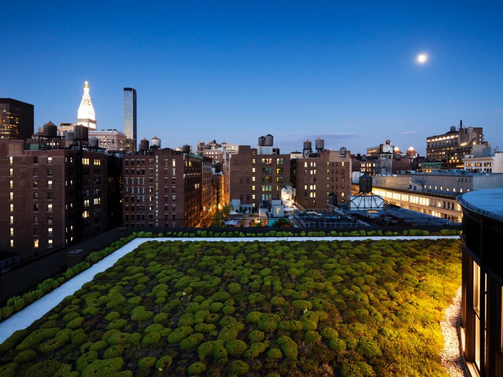 An Architect's Guide To: Green Roofs - Architizer Journal : A incredible picture showing an gorgeous view. The hues are striking and mix ideally. Its layout looks wonderful, with the details are very sharp.