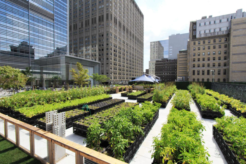 Cream Of The Crop 8 Architecture Firms Leading The Urban Farming 