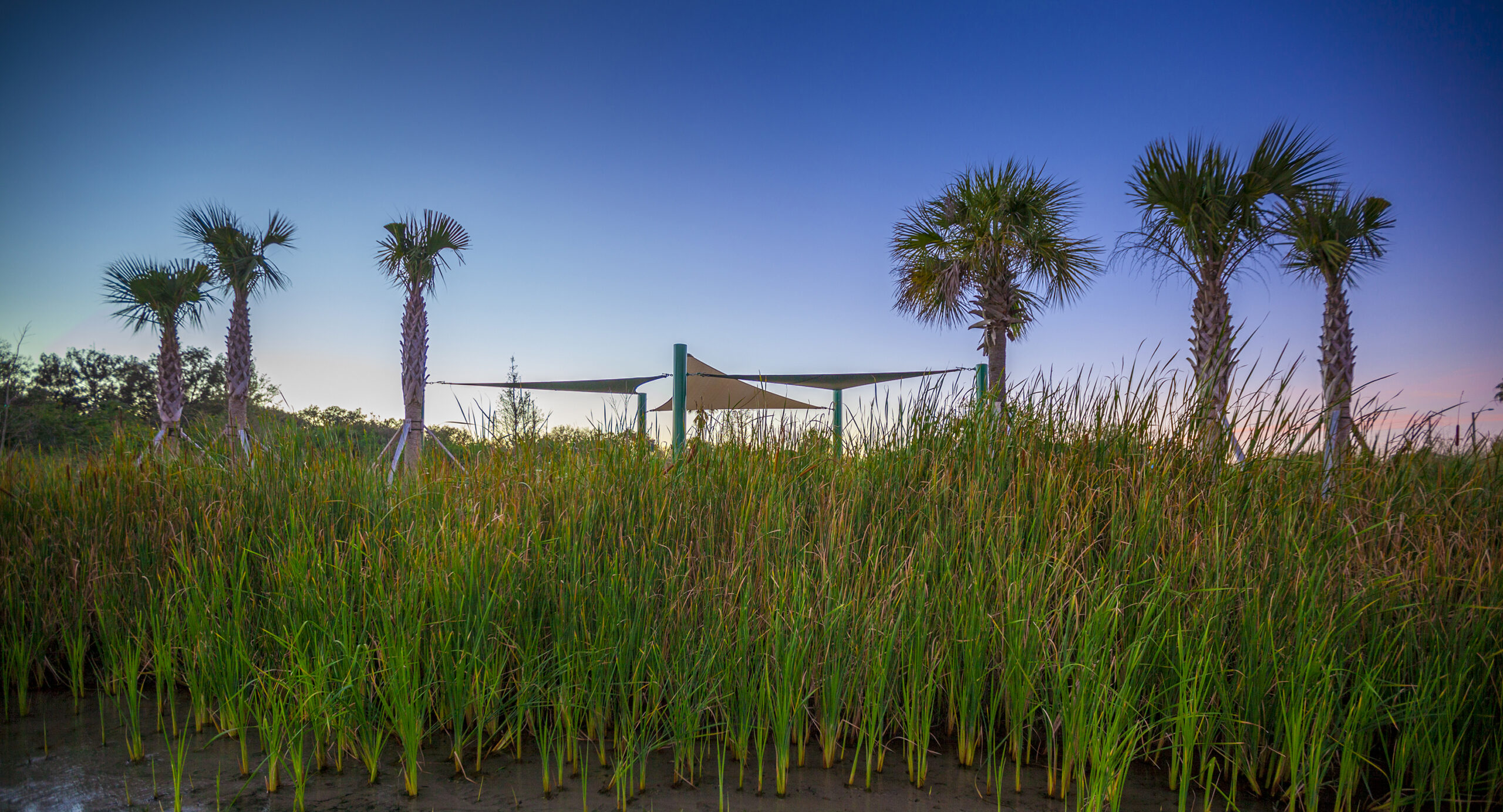 N. Safford Avenue Recreation Corridor, Tarpon Springs, FL, United States by David Conner + Associates