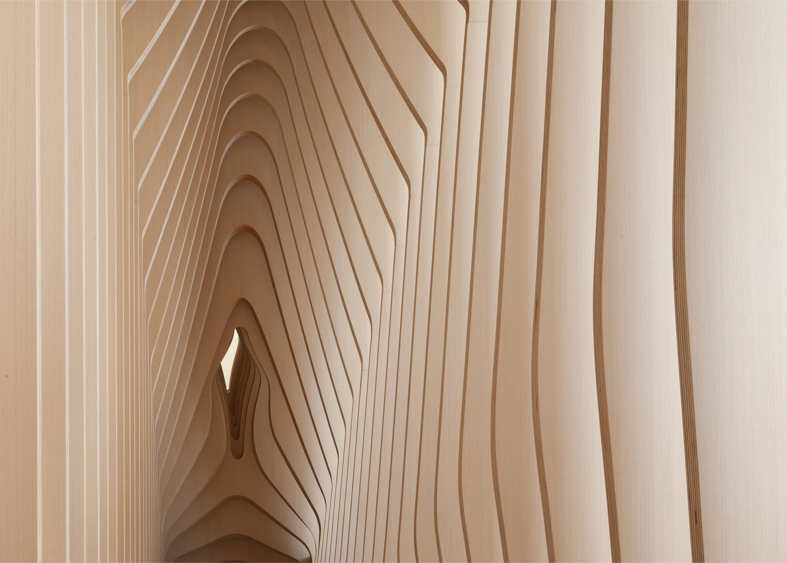 plywood architecture