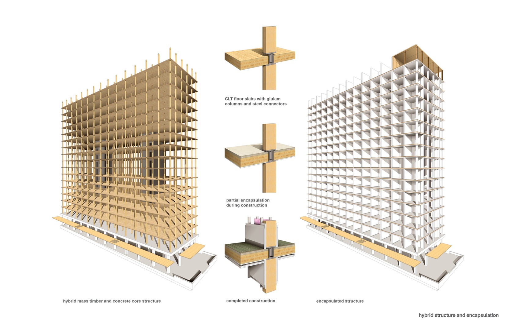 3 Mass Timber Structures That Take Wood To New Heights Architizer Journal