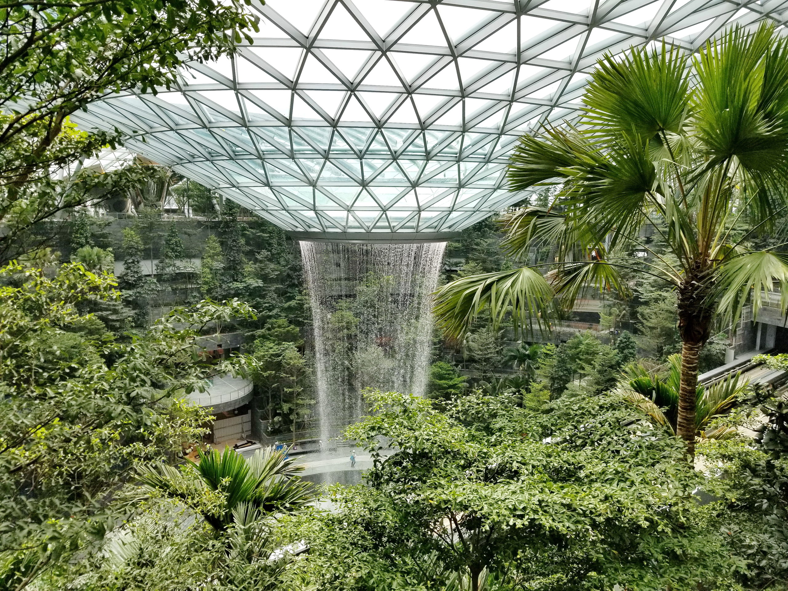 Futuristic green solarpunk city with lots of trees