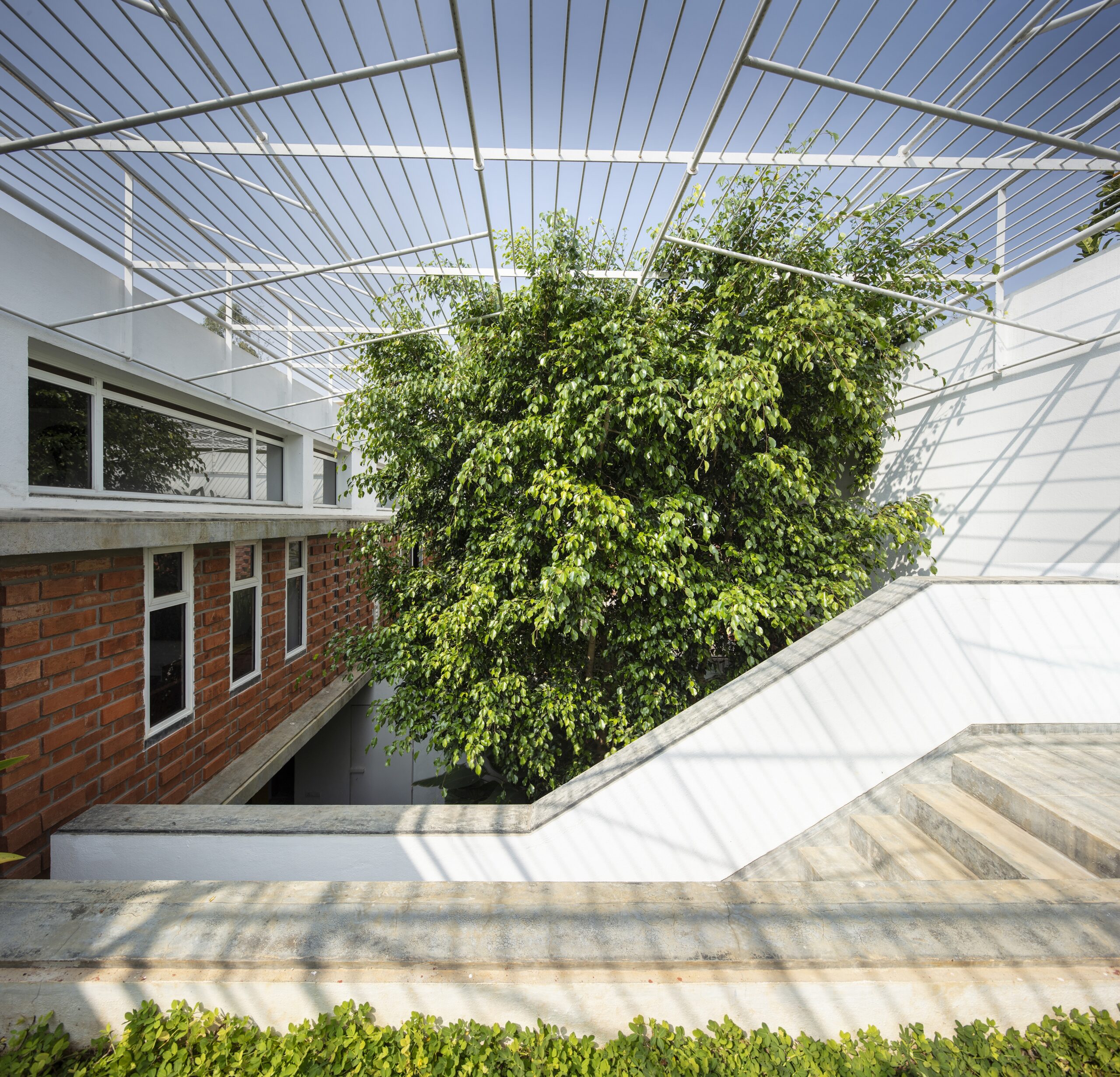 Architecture for Houseplants: 6 Projects for Cultivating Domestic Greenery