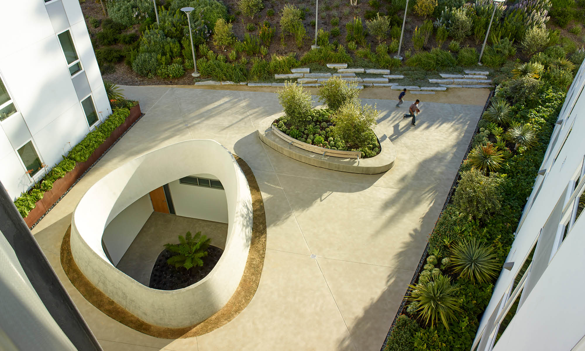 901 Fairfax Hunters View San Francisco, CA, United States by Andrea Cochran Landscape Architecture