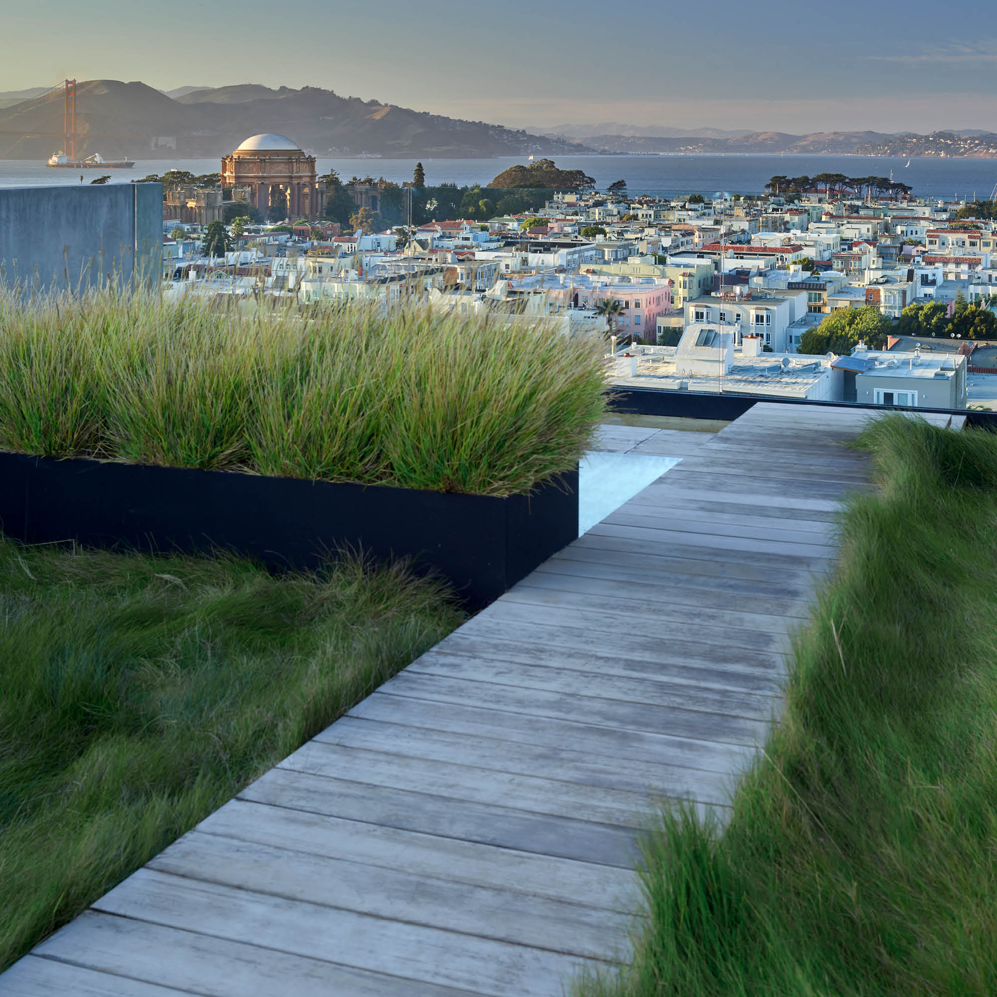 Art House, San Francisco, CA, United States by Andrea Cochran Landscape Architecture