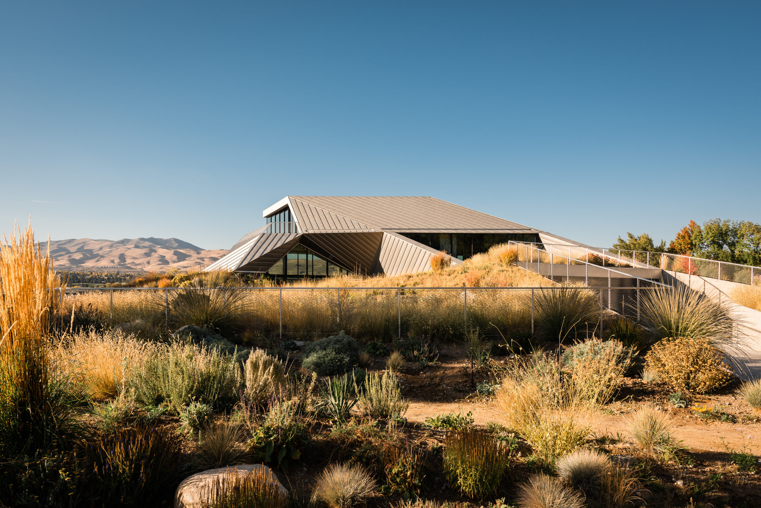 Shapeshifter Reno, NV, United States by OPA