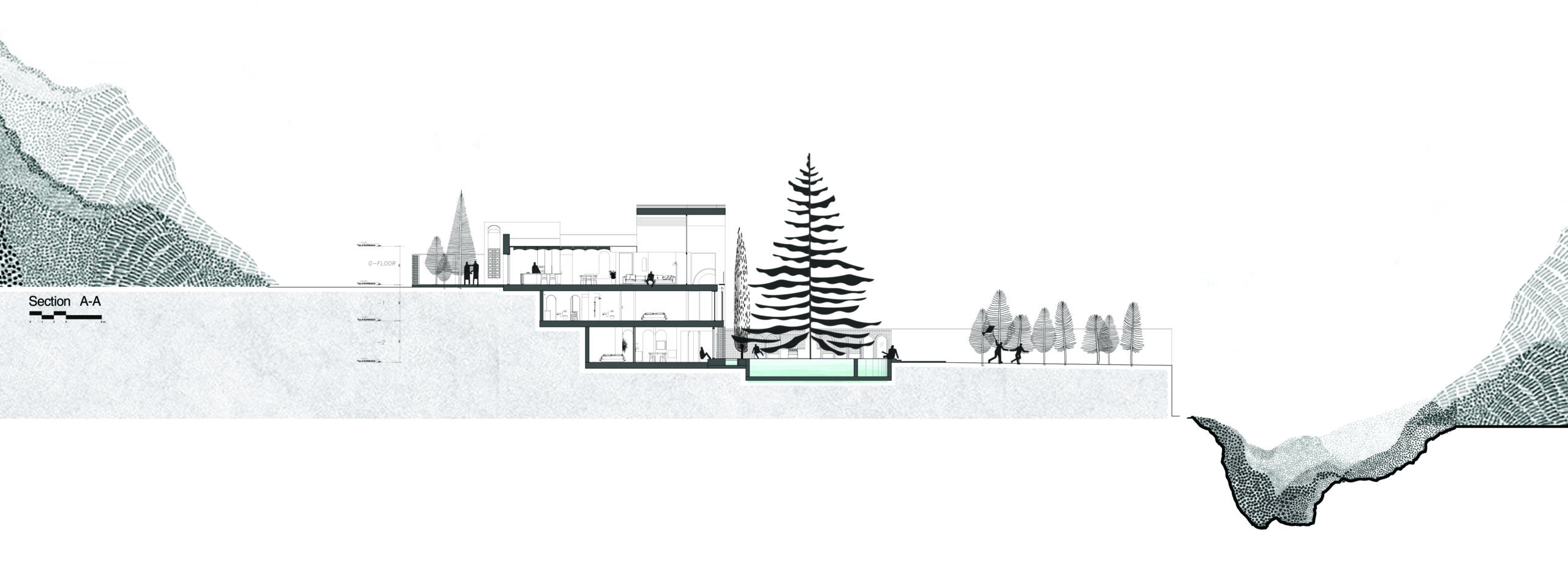 casa mirando hacia los cedros