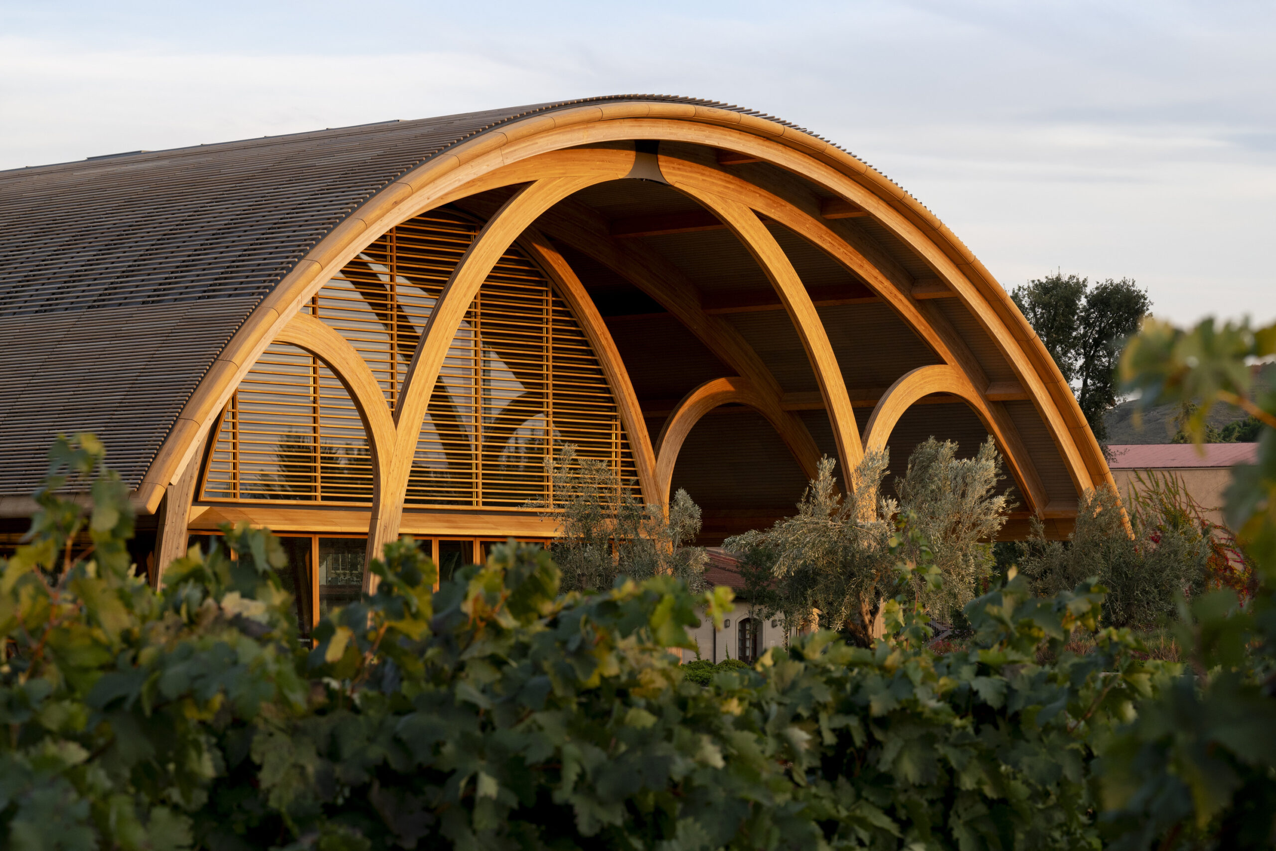 Form, Function and Fermentation: Foster + Partners’ Energy Positive Winery Design