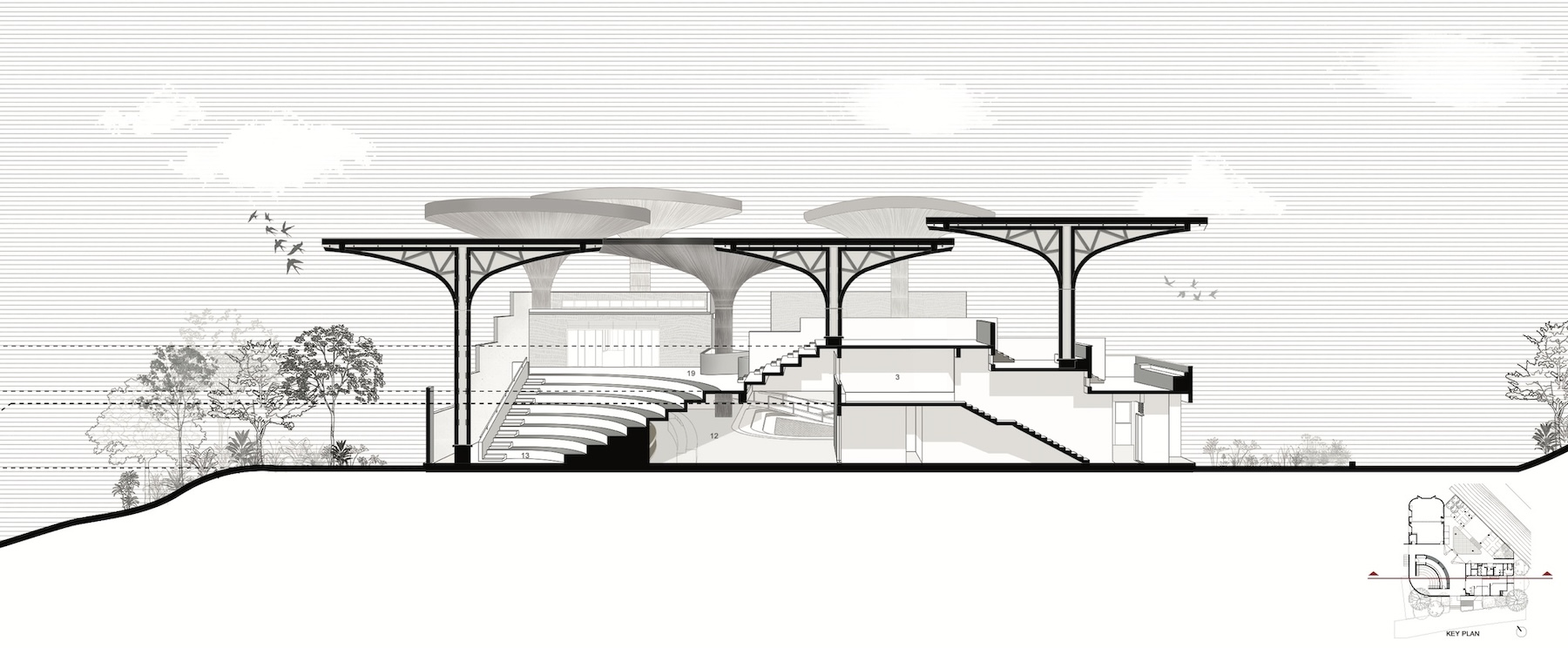 Canopy Logic: Translating Forest Structure Into Campus Architecture