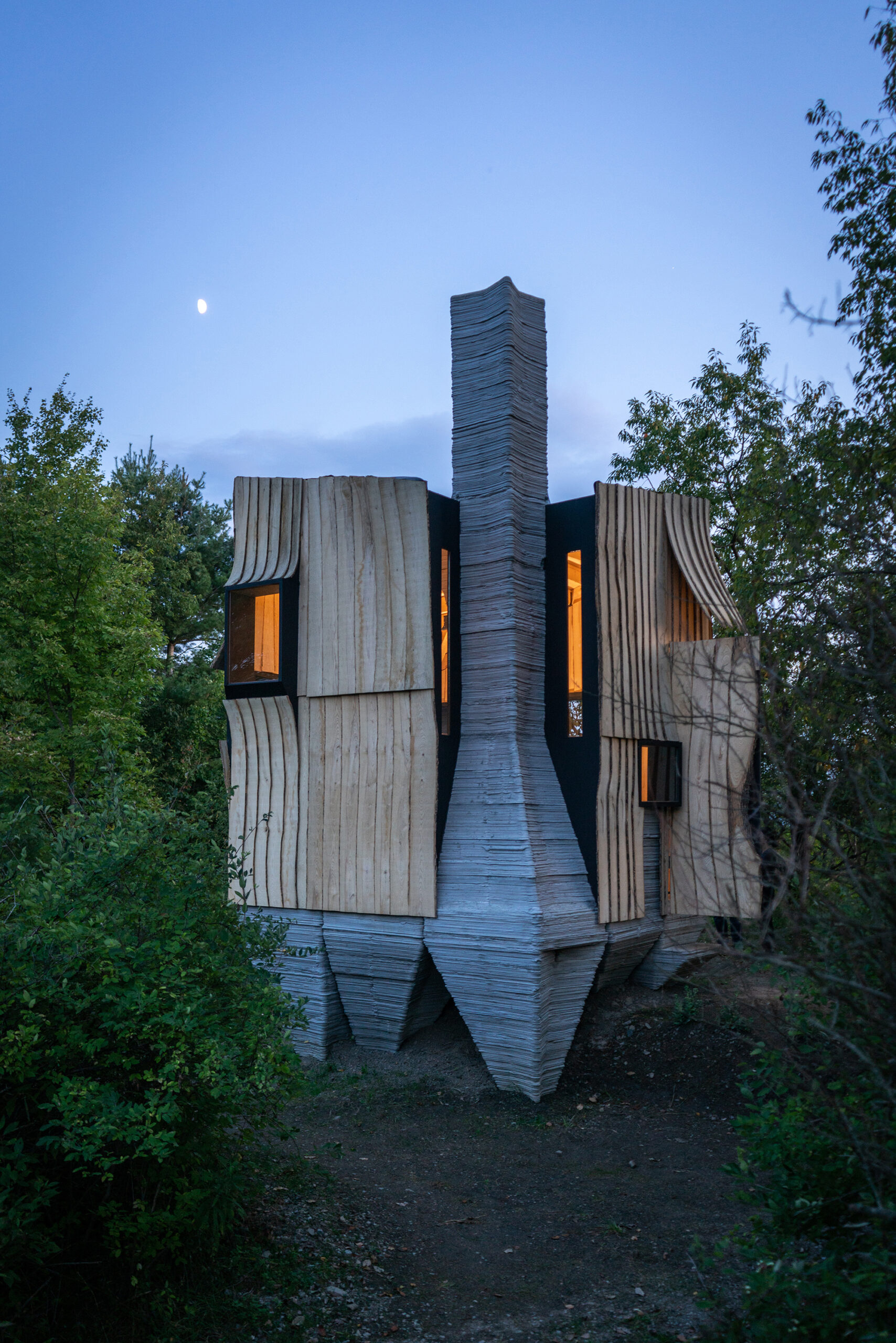 Ashen Cabin_01-architizer