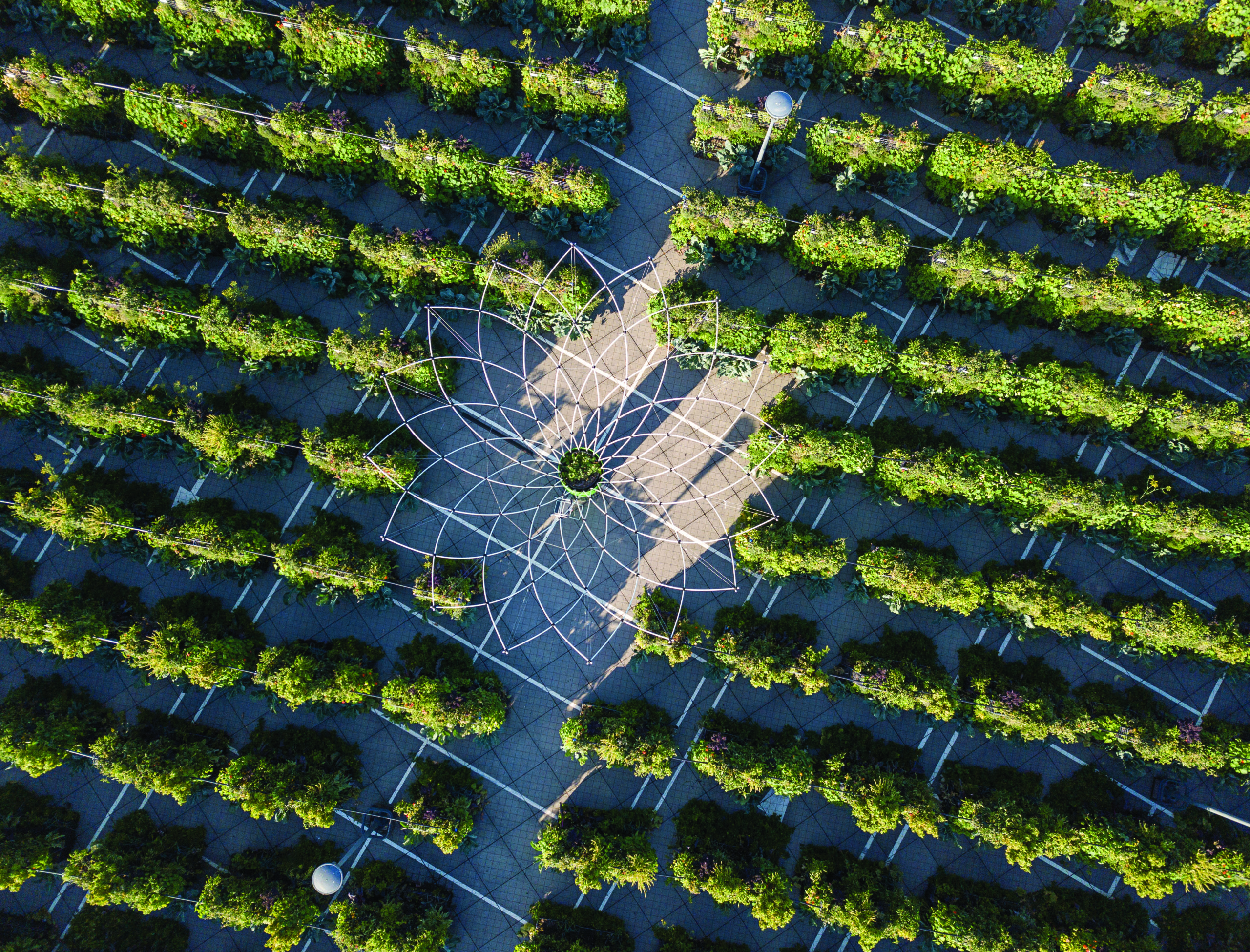 Urban Canopy Corolle-Maglin-Interview-architizer