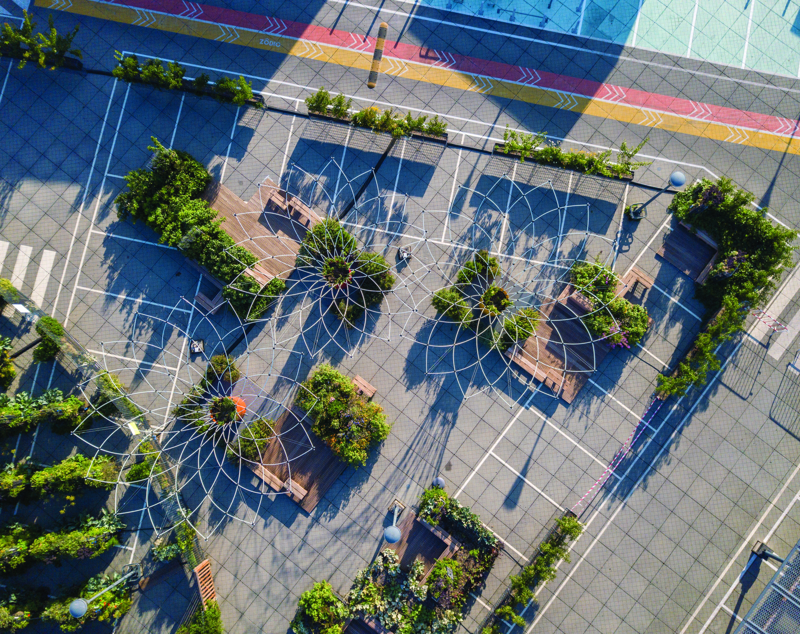 Urban Canopy Corolle-Maglin-Interview-architizer