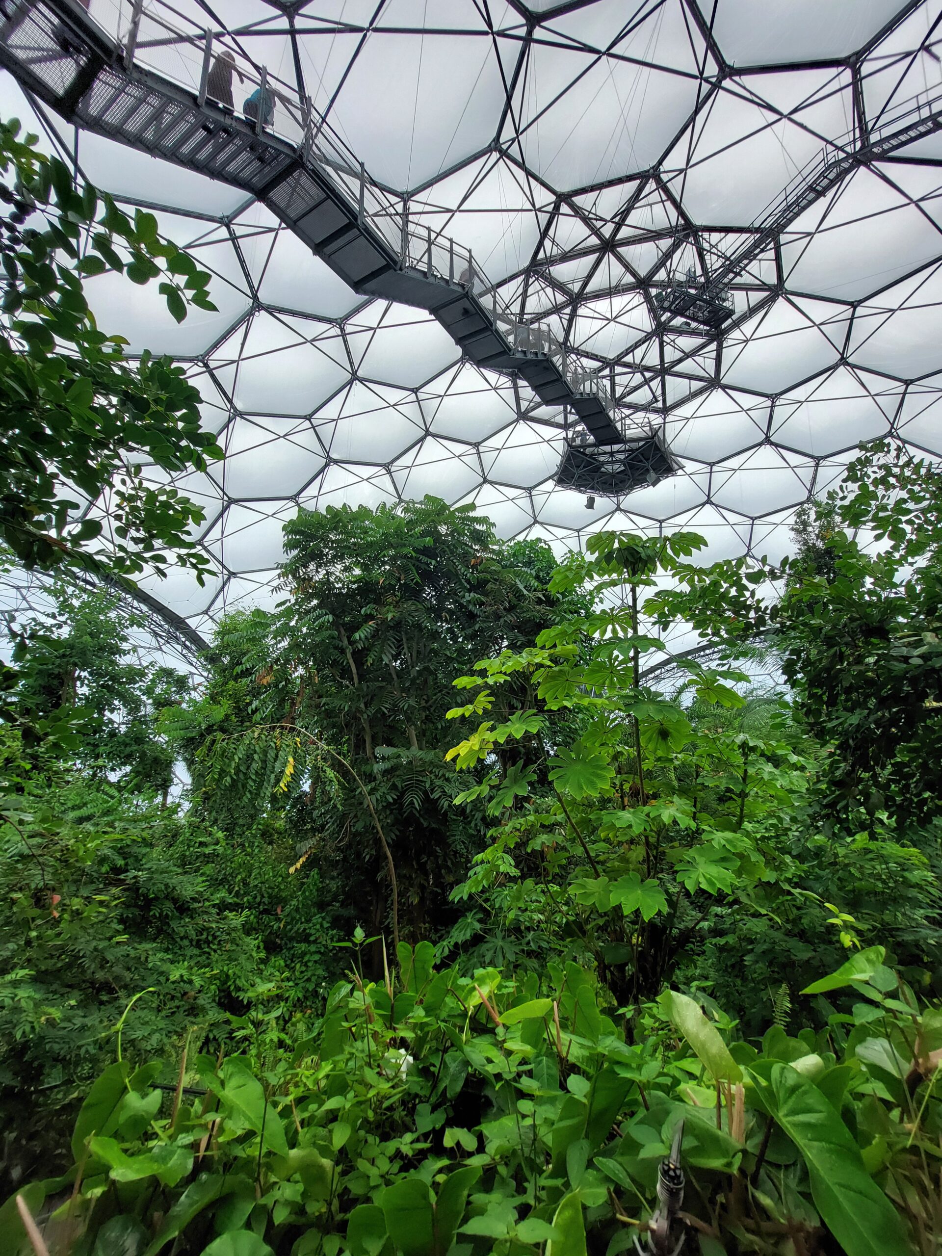 The Eden Project - architizer