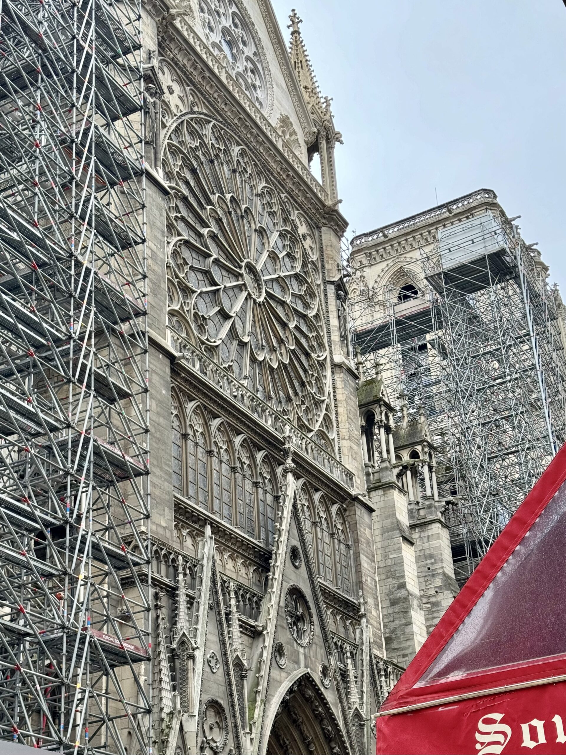 Cathédrale Notre-Dame de Paris, Photo by Ema Bakalova