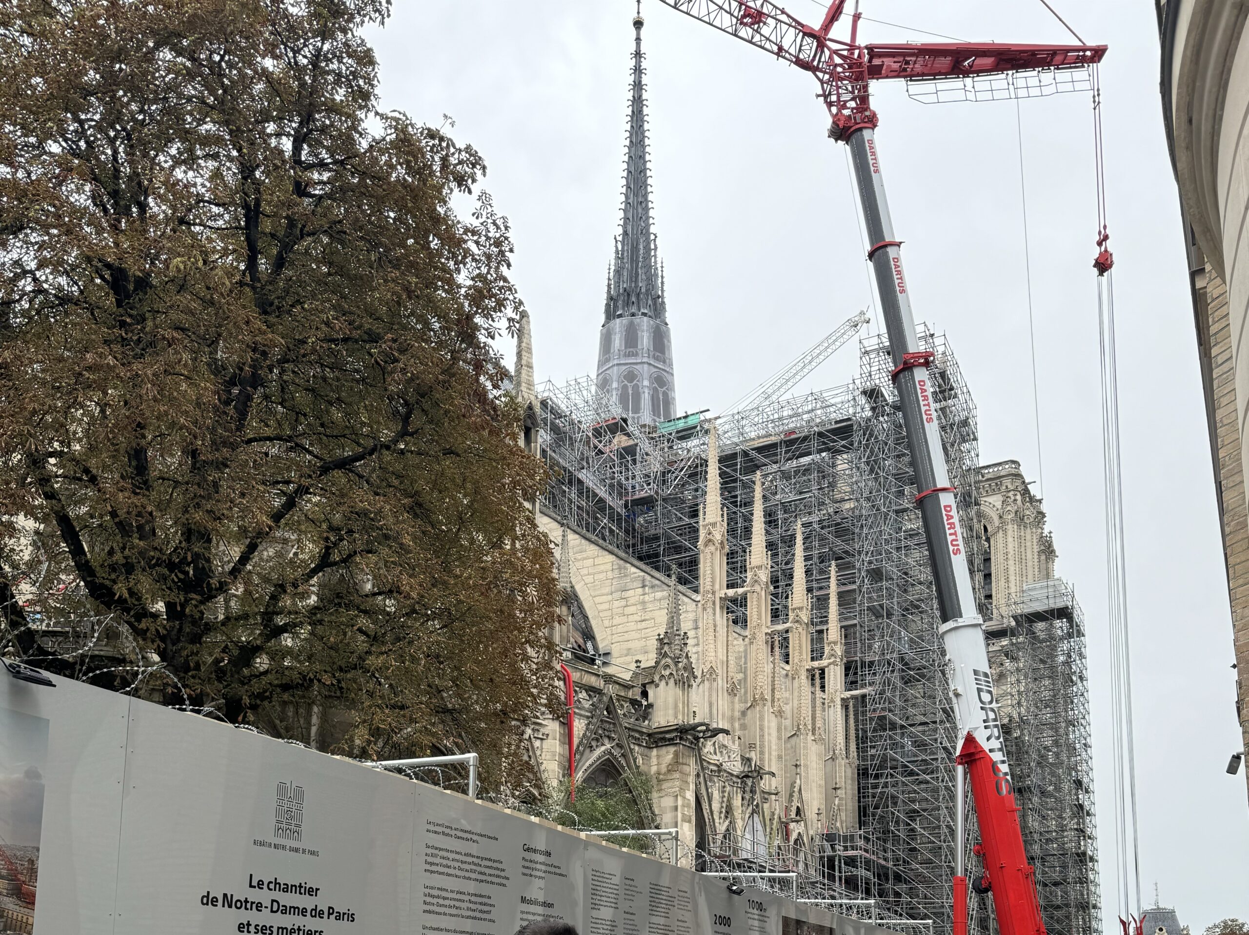 Notre Dame: Transforming Tragedy Into an Architectural Journey