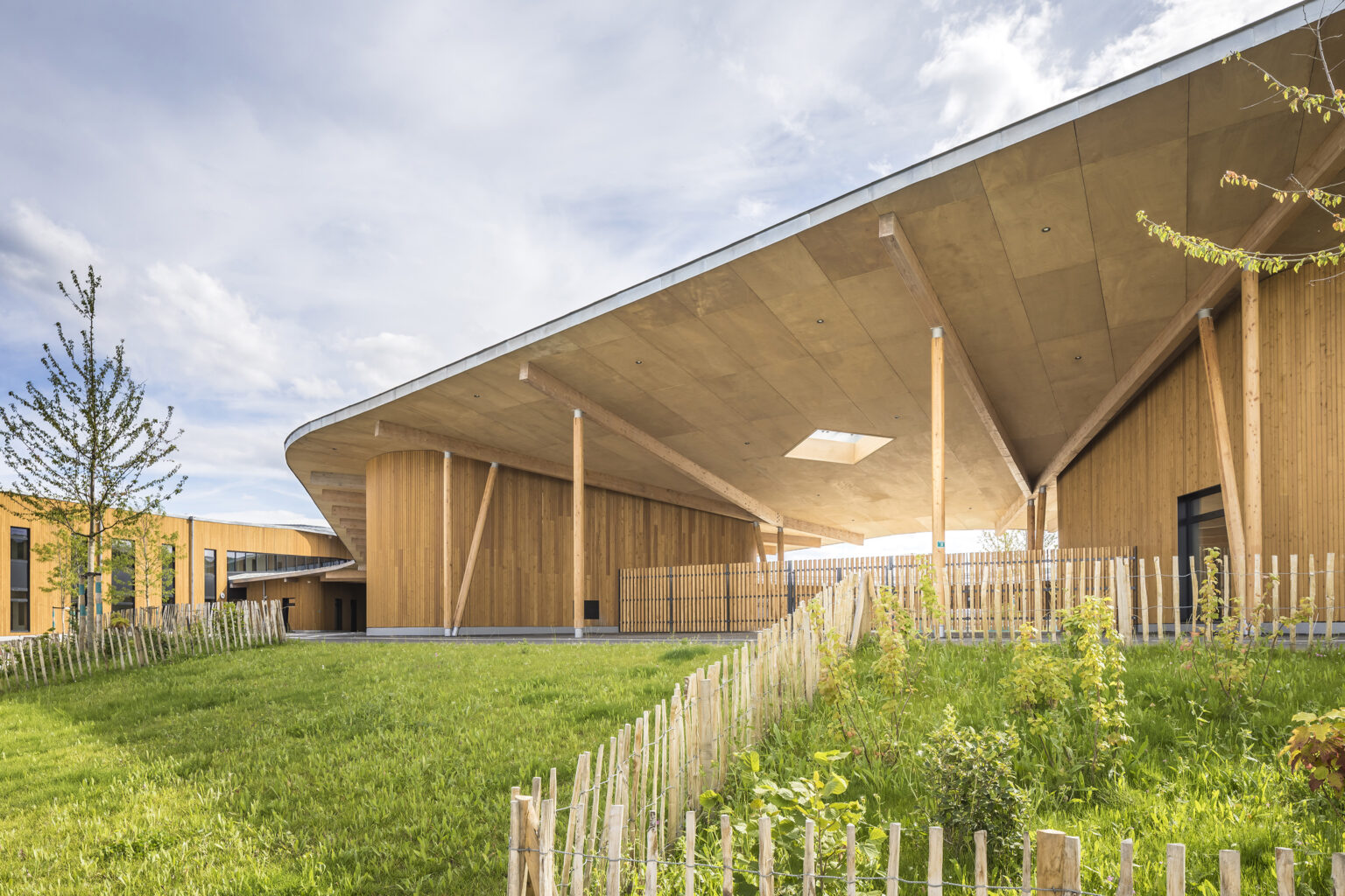 Timber Takeover: 8 Elementary Schools Embracing Wood-Based Designs