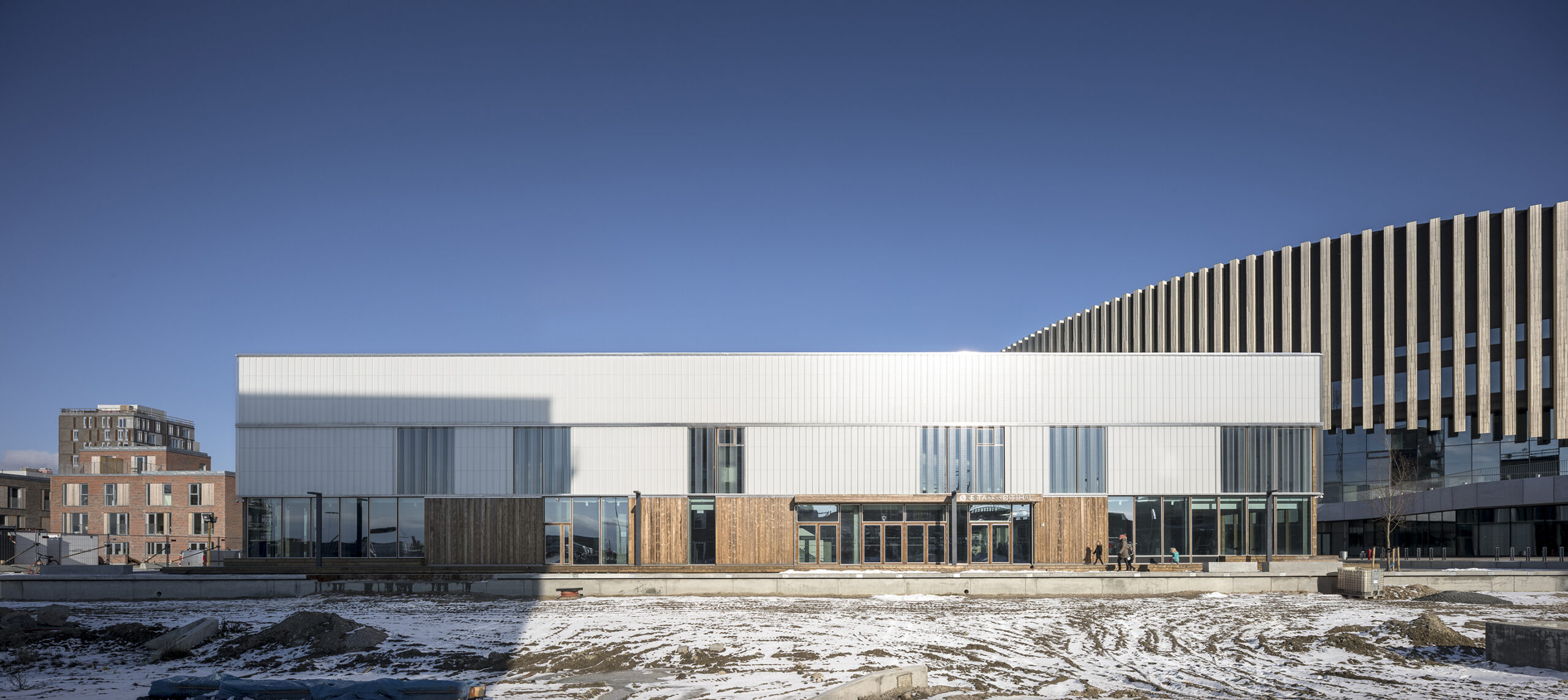 Ørestad Ice Rink's facade with transparent and translucent glass elements, combined with wooden panels.
