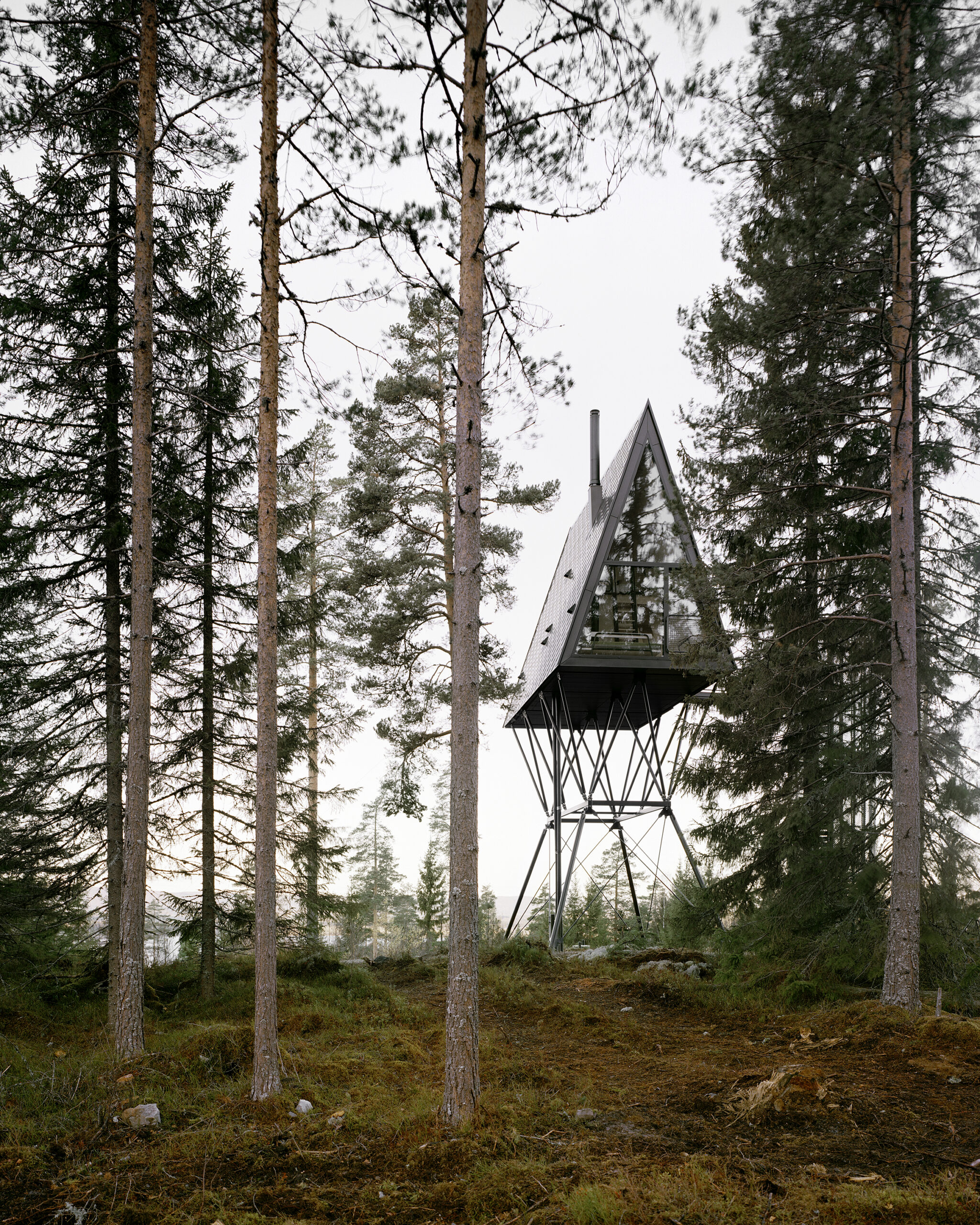 PAN-tretopphytter (PAN treetop-cabins)_01-architizer