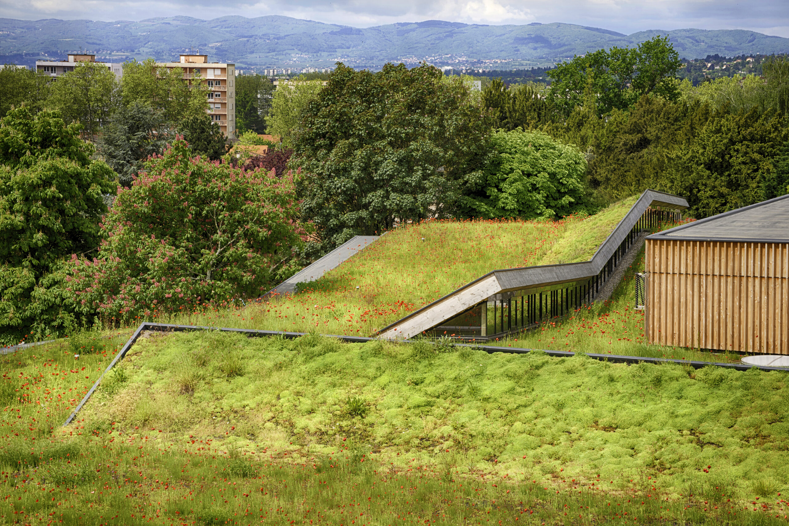 An exterior view of the school blending into the surrounding greenery and topography.