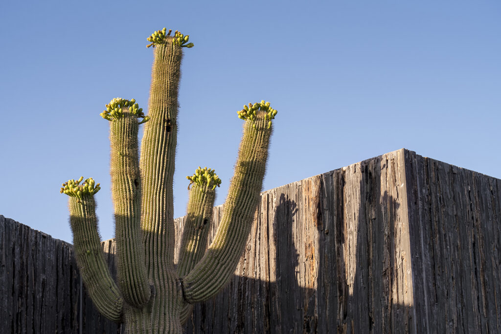 Pushing the Envelope 6 Innovative Façade Designs in Higher Education