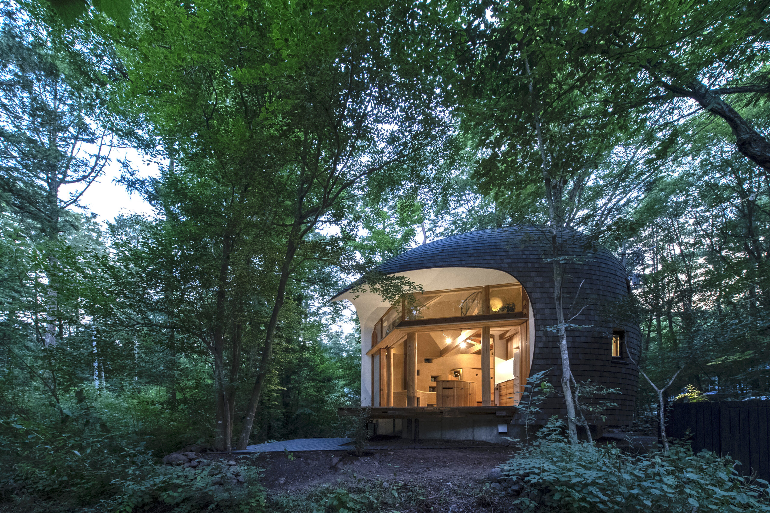 Shell House: The language of forest_01_architizer