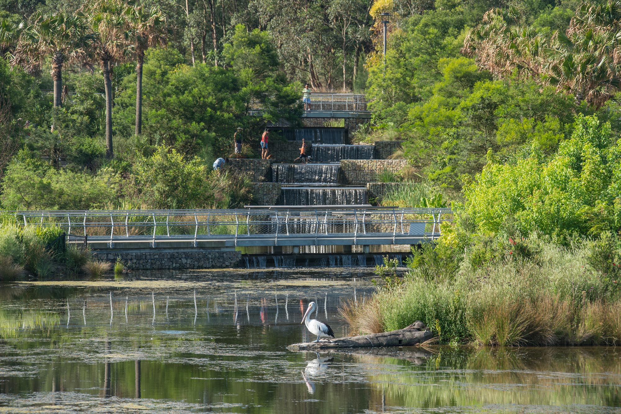 architecture water resilience climate change Sydney Park Water Re-Use Project by Turf Design Studio, Sydney, Australia