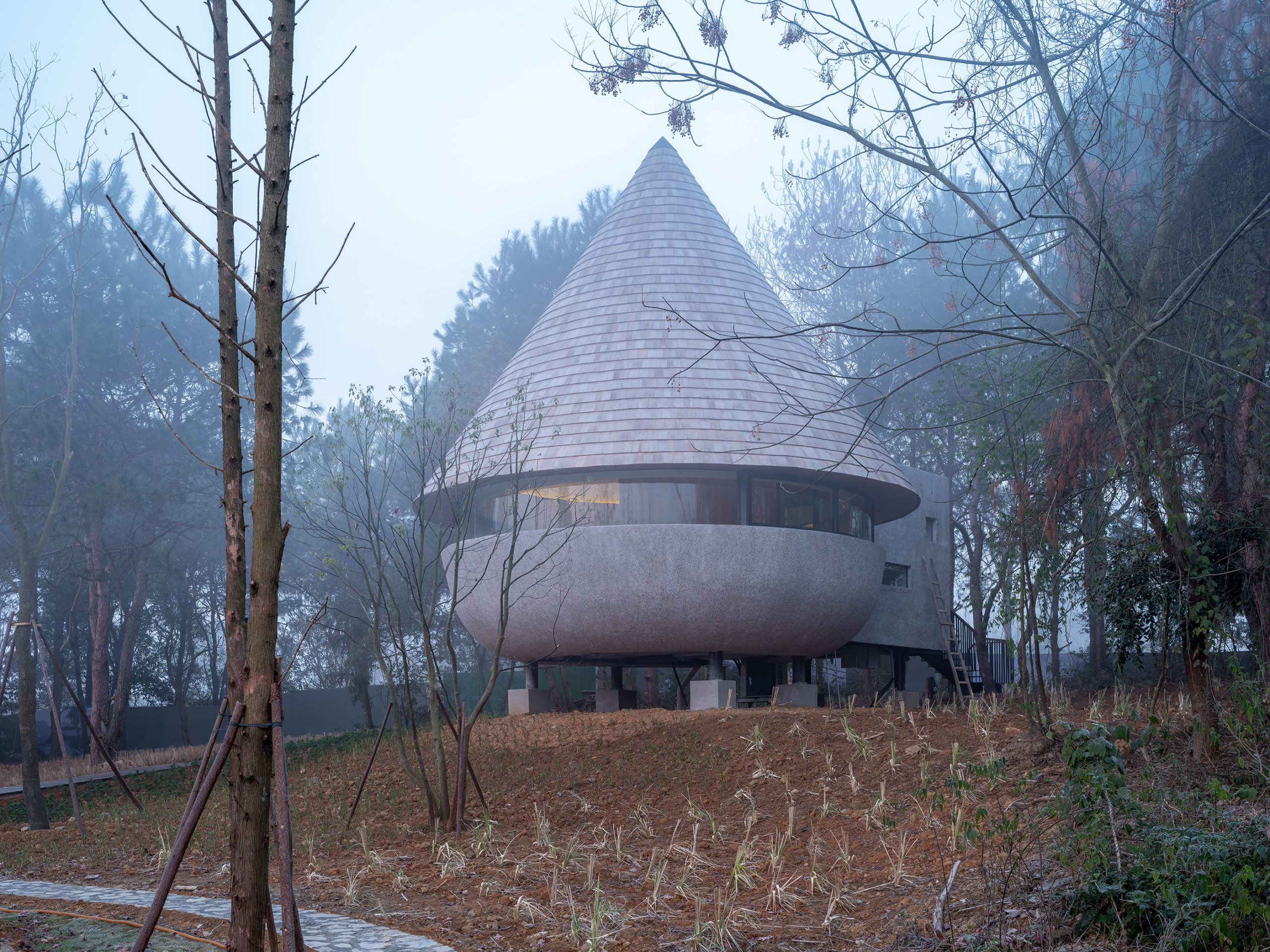 organic architecture The Mushroom - A Wood House in the Forest by ZJJZ Atelier, China