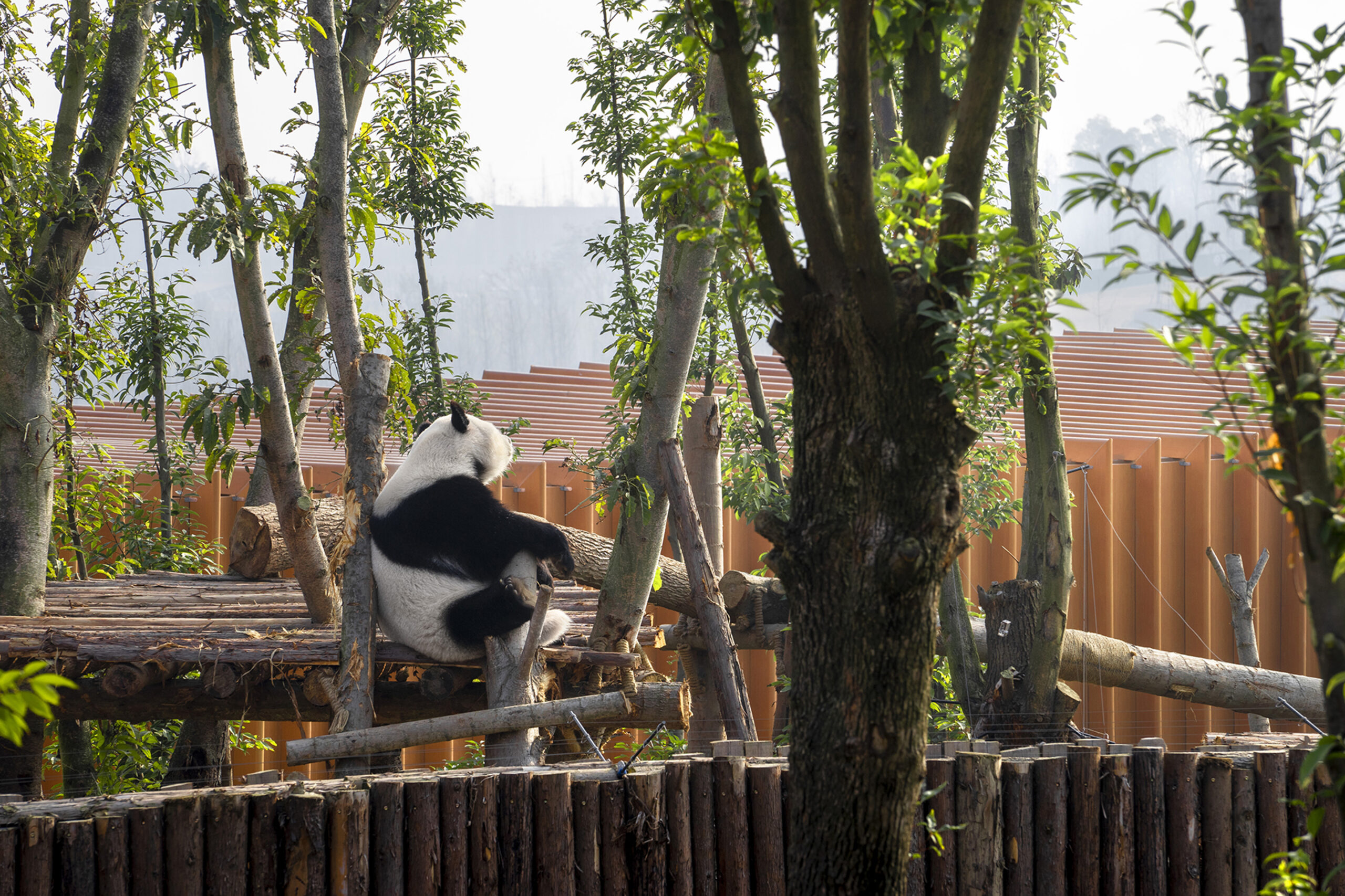 The Panda Pavilions-Atelier Ping Jiang | EID Arch