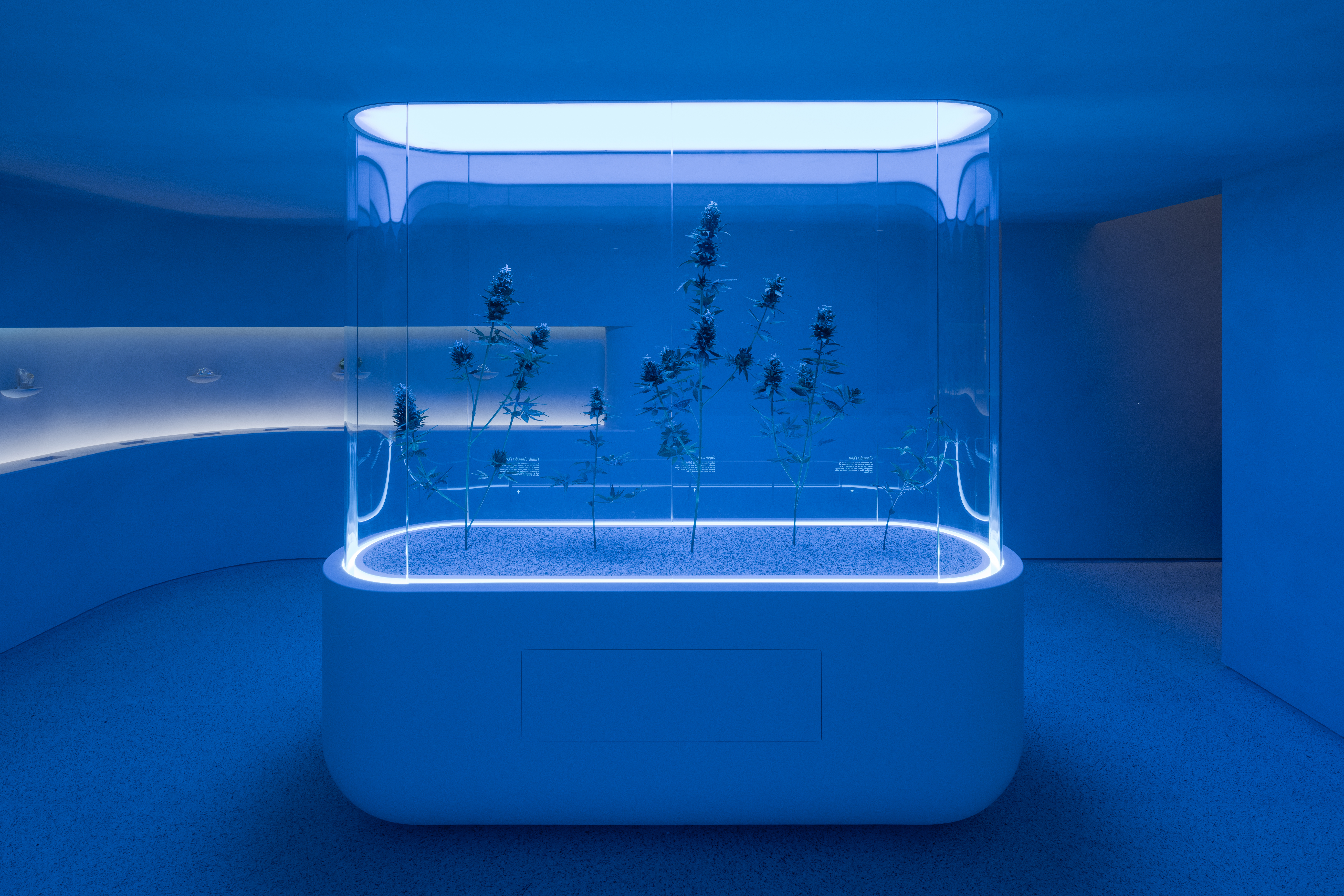 TravelAgency-TM-arquitizador