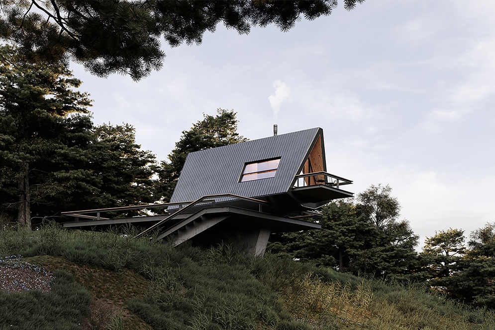 Tiny Home_01-architizer