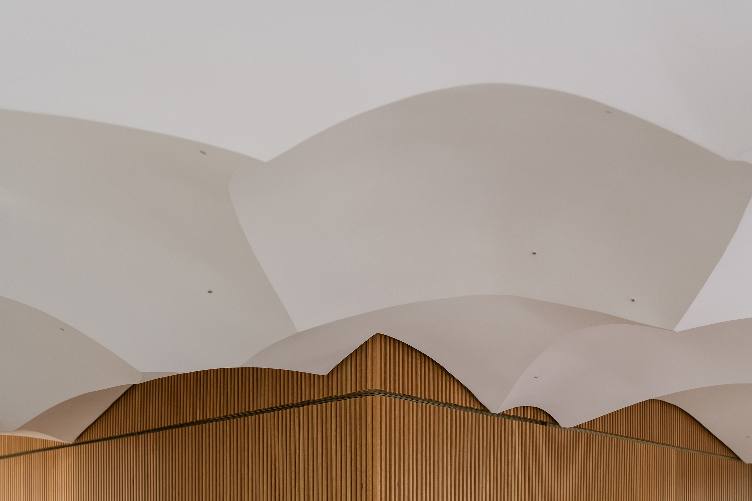 apparatus-architects-studio_ceiling