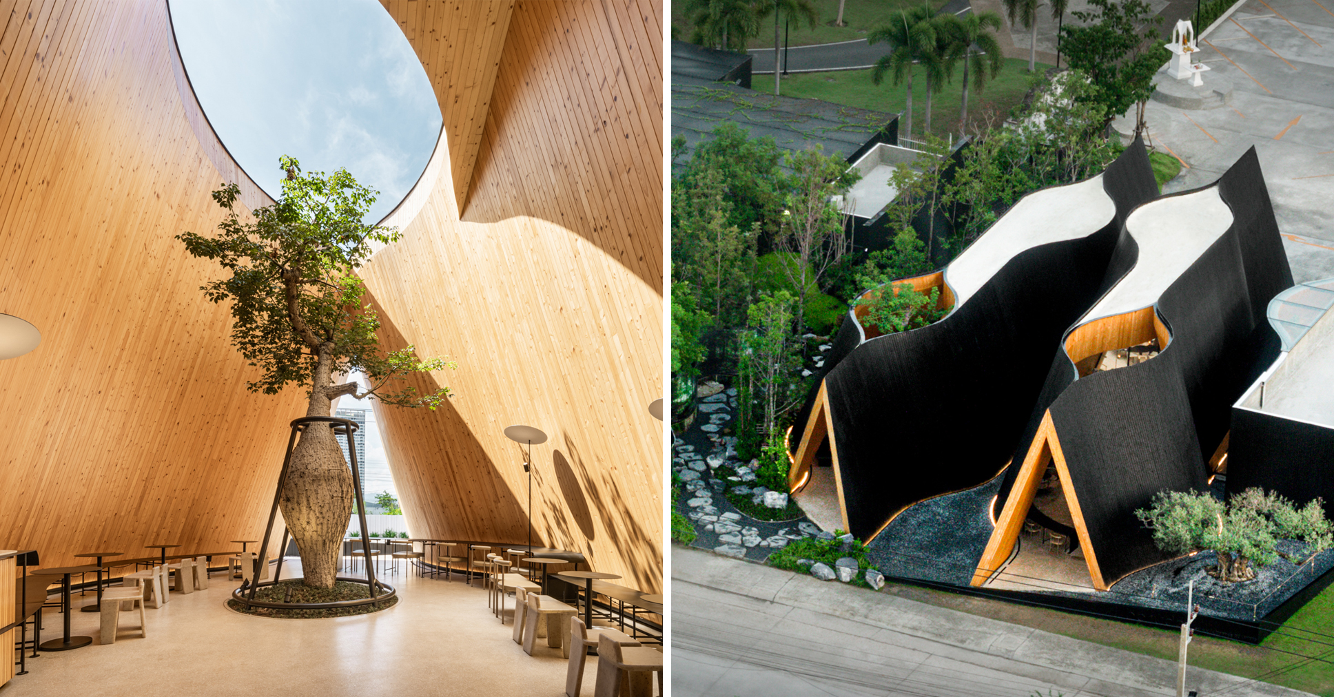 Branching Out: 5 A+Award-Winning Projects Featuring Forest-Inspired Design