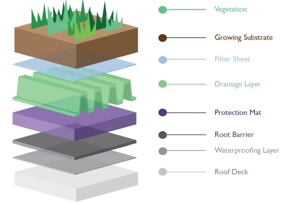 business plan for green roof