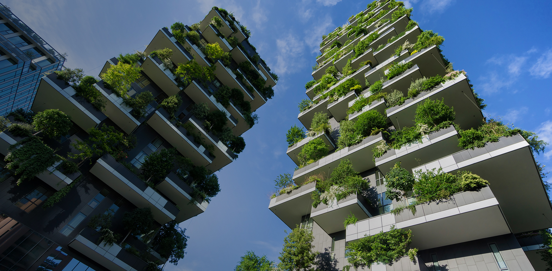 sustainable architecture