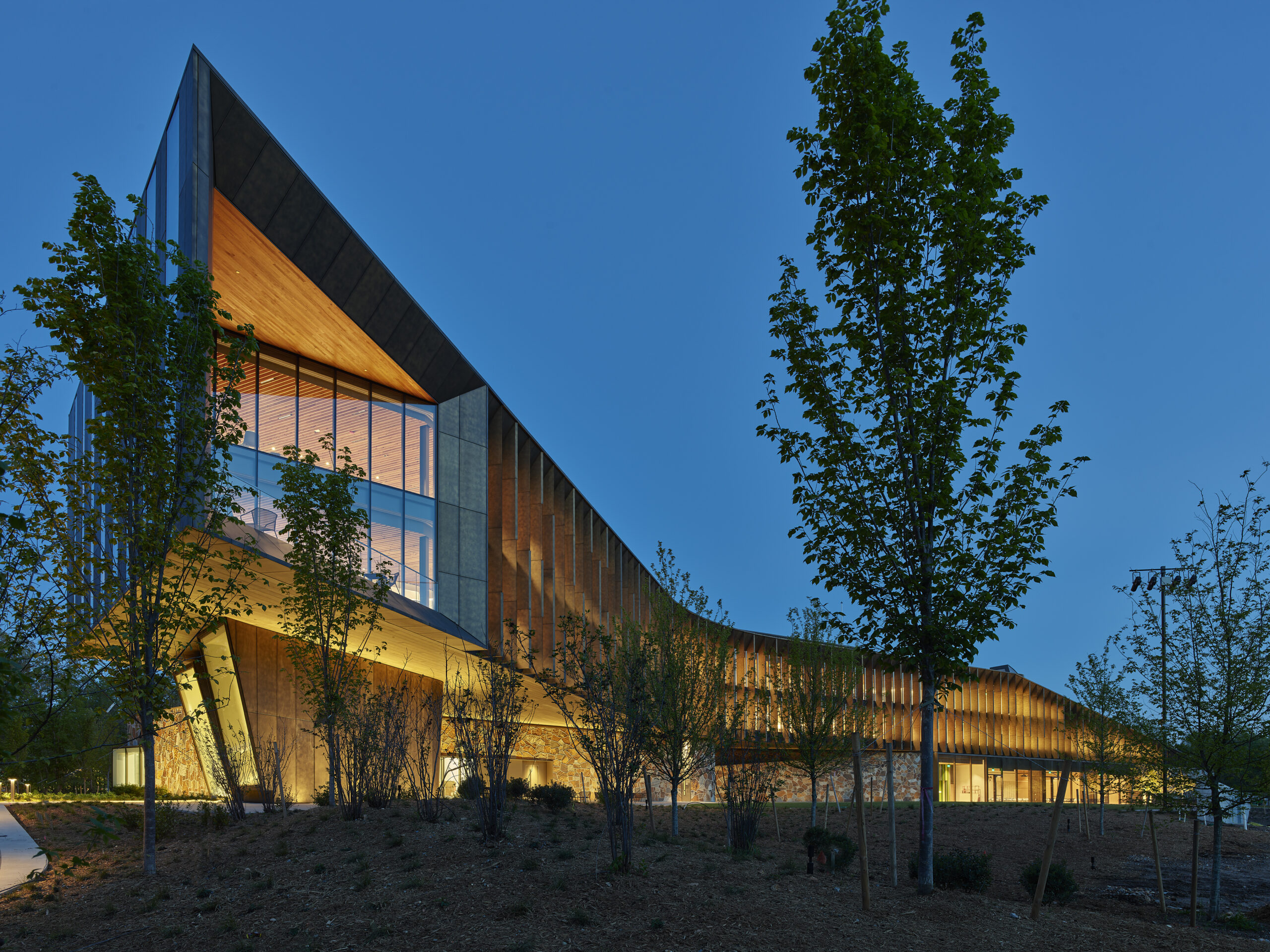 The Alchemy of Light and Form: Inside TM’s Interdisciplinary Practice